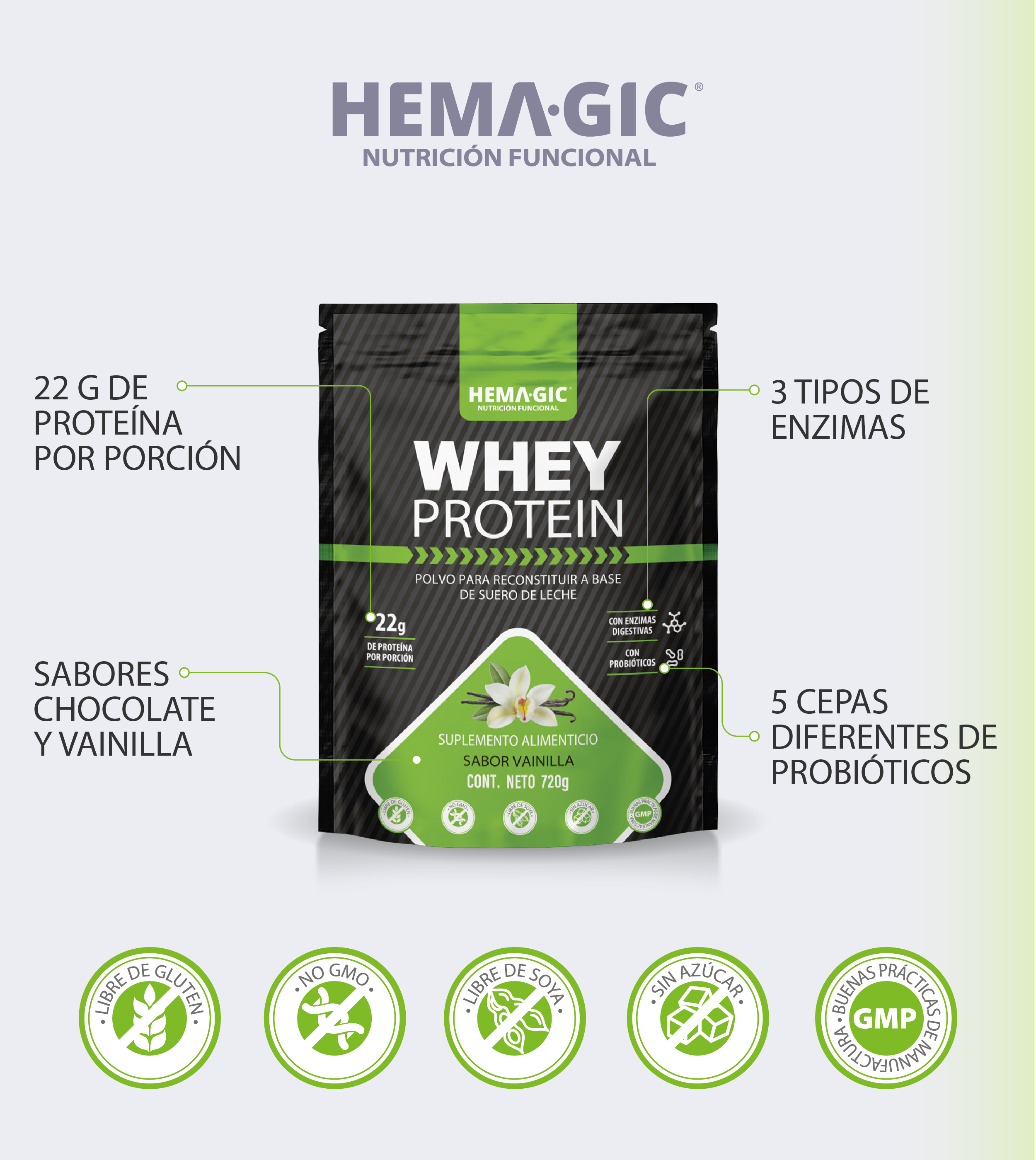 WHEY PROTEIN VAINILLA